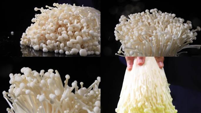 金针菇 菌菇