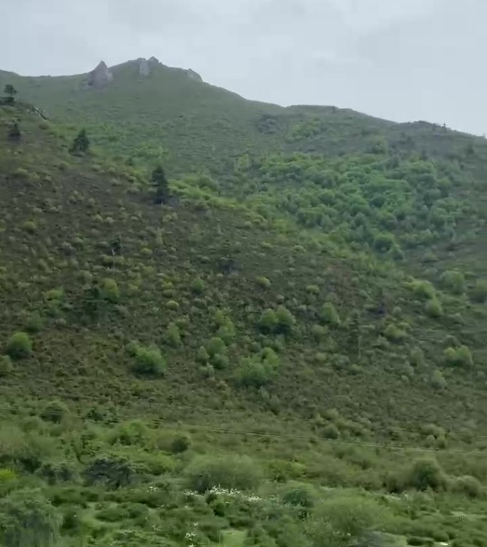 路边风景