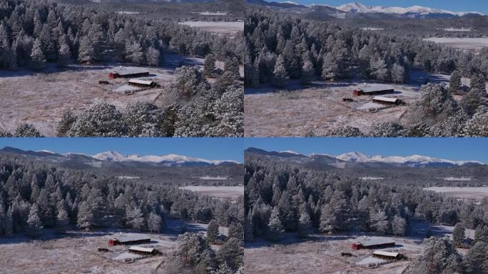 红谷仓开放空间圣诞初雪常青树前山脉丹佛山蓝天埃文斯空中电影无人机清脆寒冷的早晨美丽的蓝天向前平移揭示