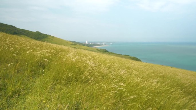 夏日的微风吹过悬崖，绿草摇曳，沙沙作响