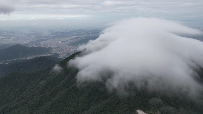 深圳梧桐山云海延时