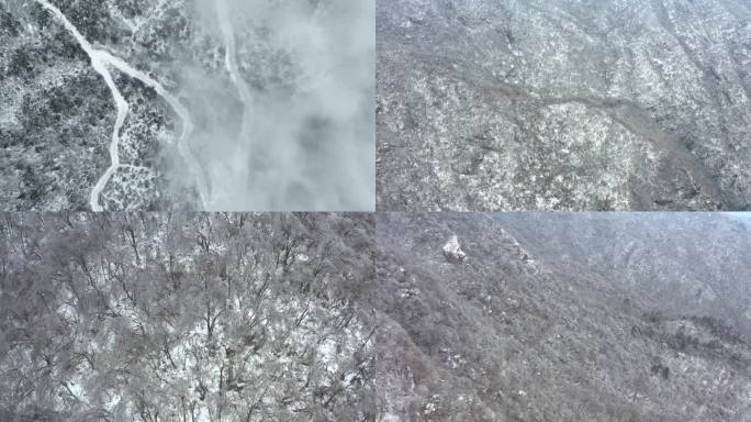 山区雪景雾凇森林云雾冬季