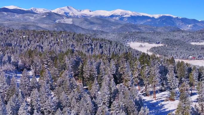 圣诞第一场雪常青三姐妹前Range丹佛山蓝天埃文斯航拍电影无人机清脆寒冷的早晨美丽的蓝天霜松树向前缩