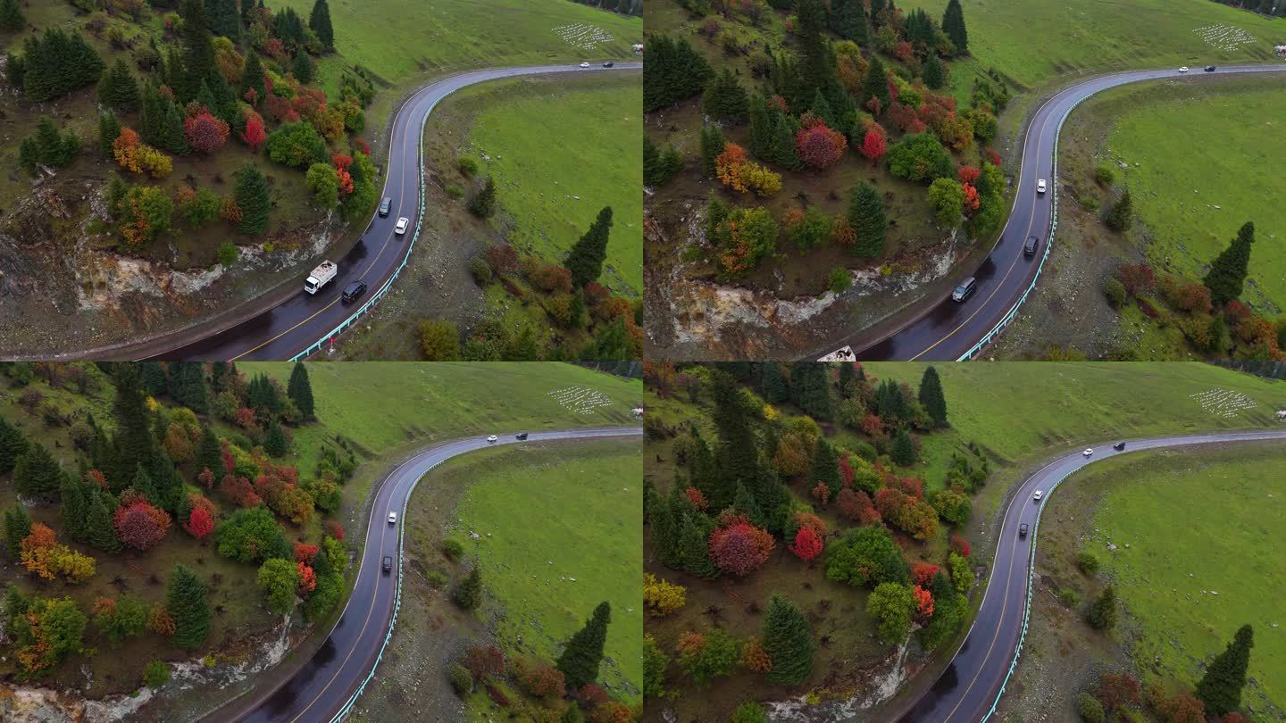 汽车行驶在秋天的公路