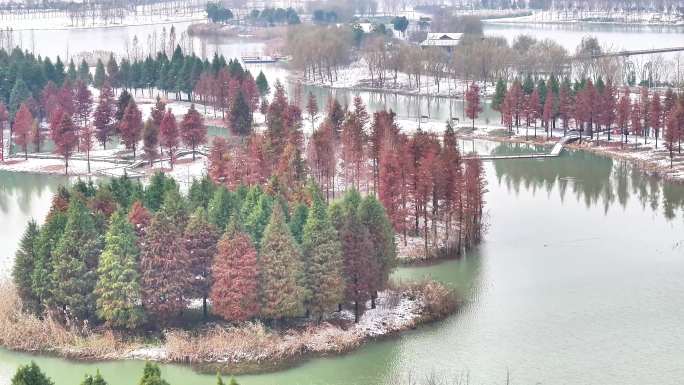 航拍湿地公园雪景树林湖岛木屋鸟类杉树木