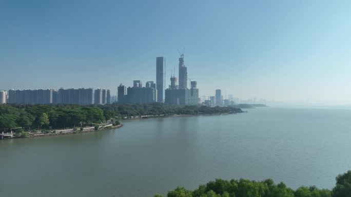 深圳湾红树林航拍福田红树林海滨生态公园