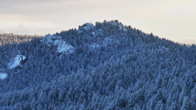 科罗拉多州的圣诞节落基山脉笼罩着凉爽的蓝色黄金时刻在冰封下结霜的初雪森林常绿莫里森丹佛山蓝天埃文斯电