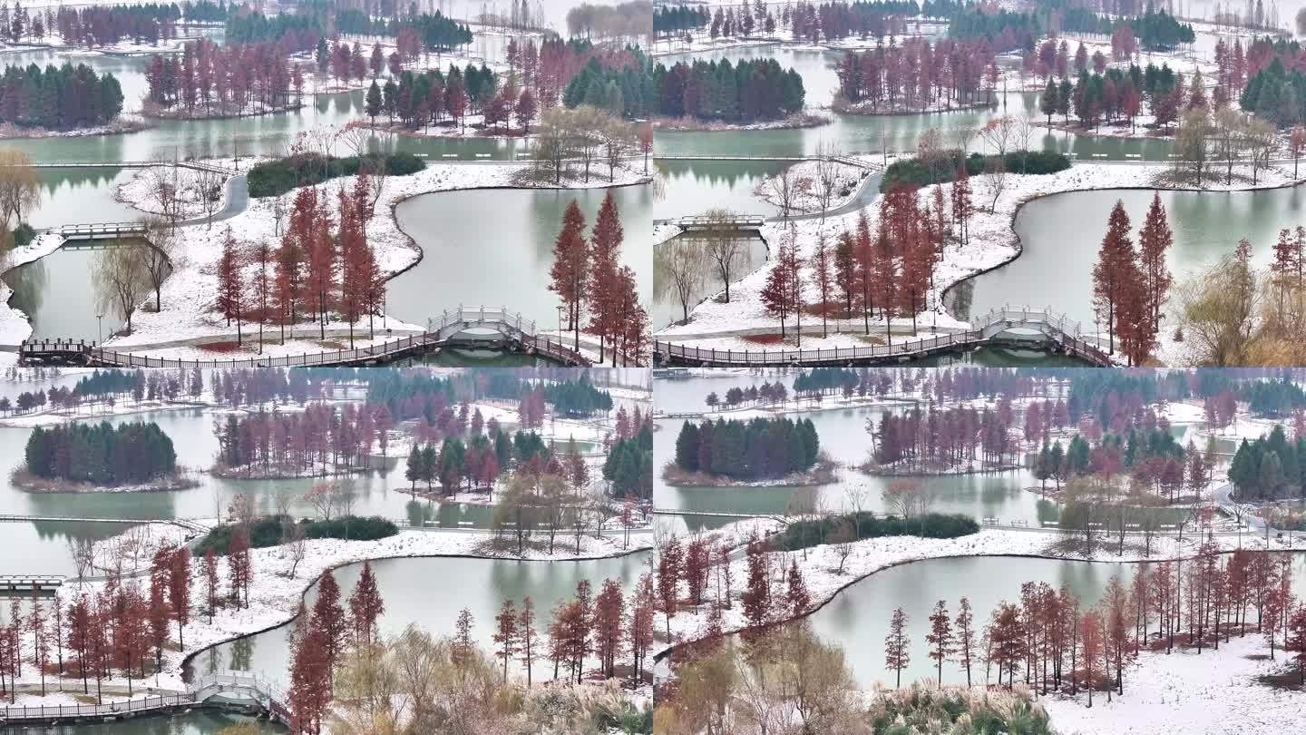 航拍湿地公园雪景树林湖岛木屋鸟类杉树木