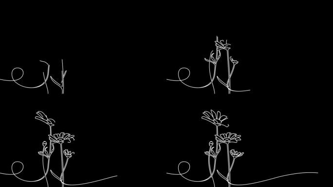 连续一行绘制美丽的野花洋甘菊运动设计。单线艺术动画的自然景观与美丽的田野草甸花雏菊