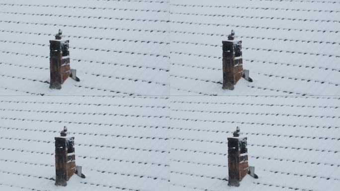 冬天下雪农村平房屋顶瓦片烟囱积雪