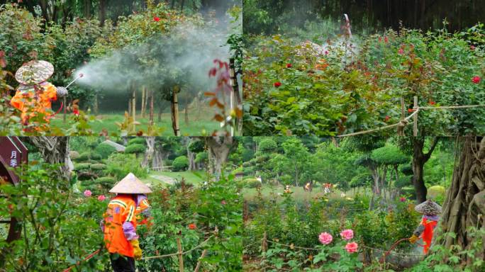 园林护理园丁喷洒农药杀虫剂打药合集