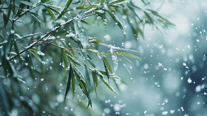 雪中竹韵/竹子/雪景/高风亮节虚怀若谷