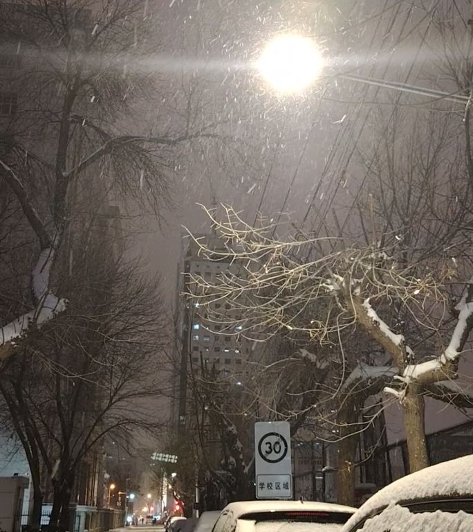 天津小街巷路灯下的雪花飘落