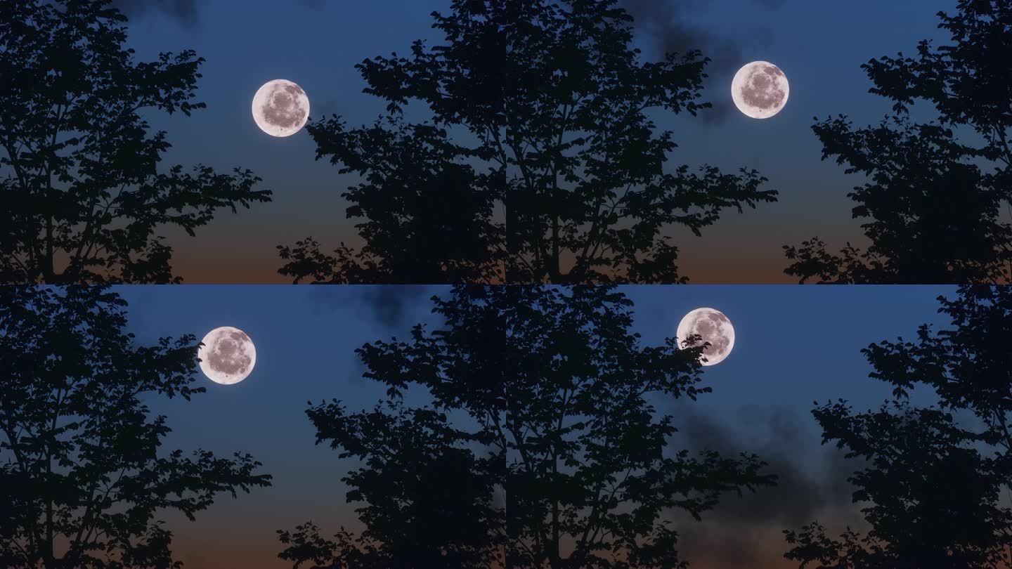 月球 月亮 皎月 旋转月球 圆月 满月