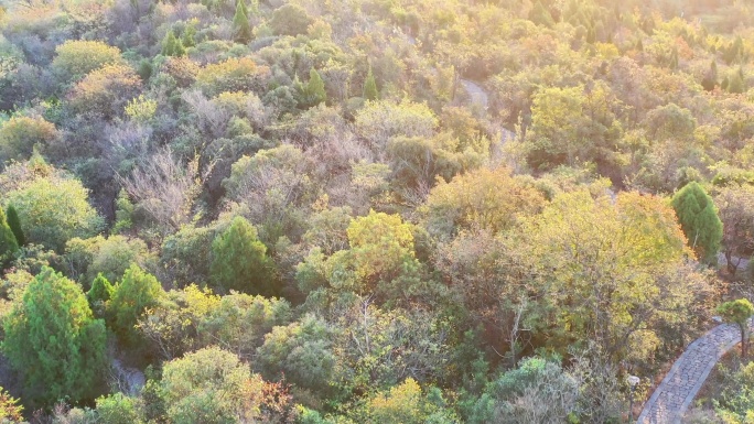 航拍淮南舜耕山初秋日出晨光