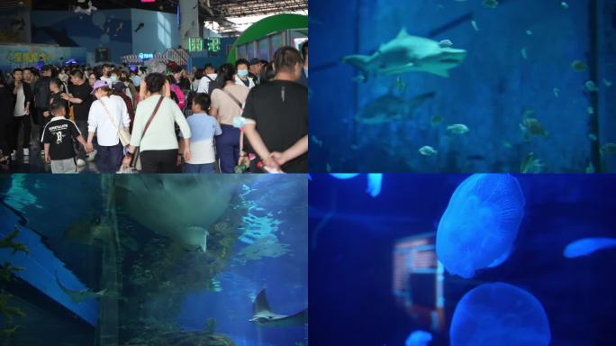 北京动物园-海洋馆-亲子-动物-五一游客