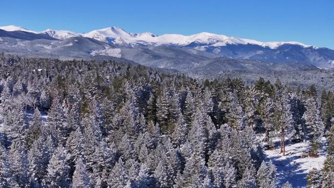 圣诞第一场雪常青三姐妹前山脉丹佛山蓝天埃文斯航拍电影无人机清脆寒冷的早晨美丽的蓝天霜松树向前盘向上透