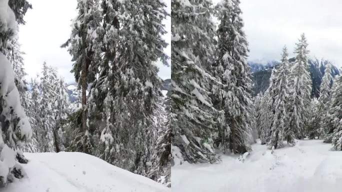 男子滑雪板运动员在山上移动的镜头。一个人在树林里玩滑雪板。他在假期里探索大自然。