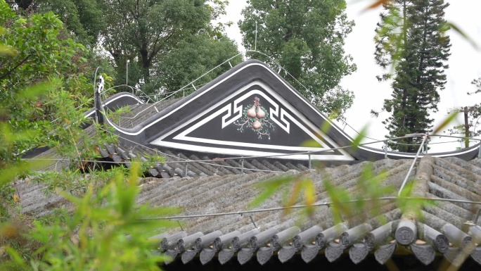 4K实拍，羊城广州新文化馆仿古建筑屋顶。