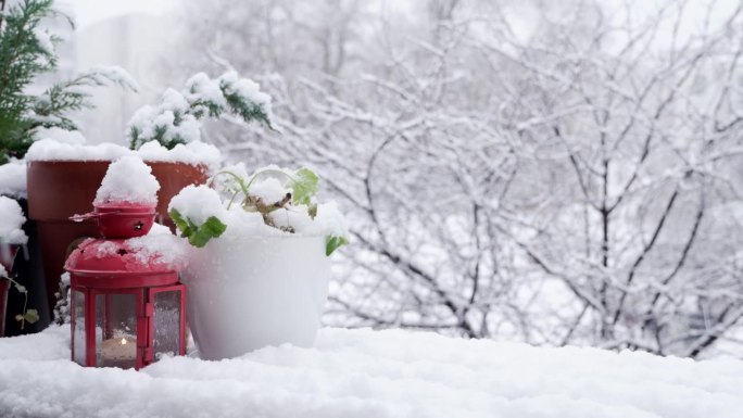 白雪皑皑的灯笼，蜡烛和花盆里的鲜花。降雪时的楼台