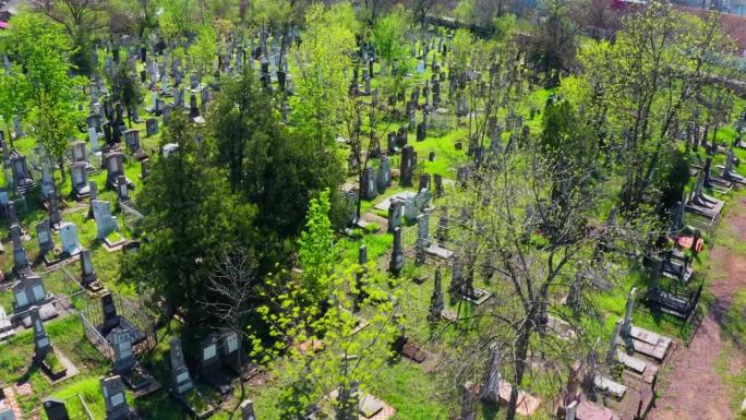 废弃的犹太人墓地野外小树林烈士陵园墓地