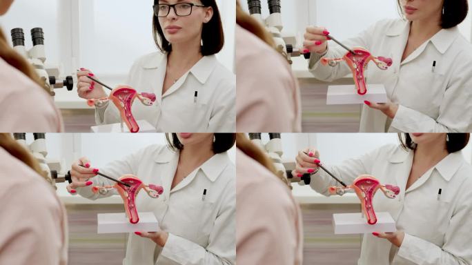 图为，在现代妇科诊所，妇科医生正在利用子宫和卵巢的塑料模型向患者解释女性疾病。预防、体检准备、怀孕。