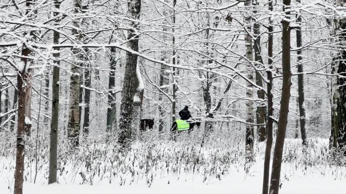 俄罗斯，圣彼得堡，2023年12月2日——俄罗斯内务部在暴风雪中，骑着两匹马的警察在冬季公园里控制秩