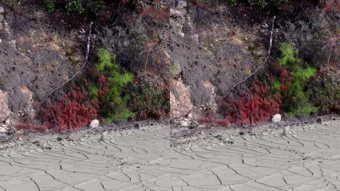 沙漠视频捕捉到了生态变化:干燥、龟裂的土地，曾经湿润。视觉生态学故事:干旱对景观的影响。破碎的地形突