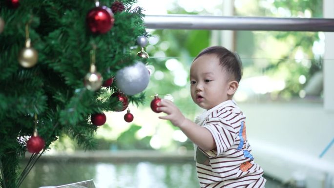 圣诞节那天，小男孩感动又有趣的圣诞树