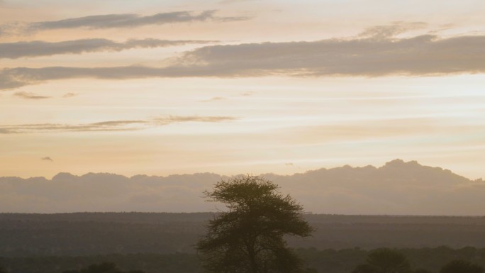 非洲坦桑尼亚草原日出