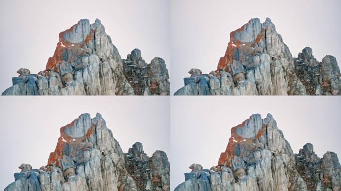 岩石的顶部，长满了苔藓和地衣。手持视频。贝加尔湖，西伯利亚，俄罗斯。
