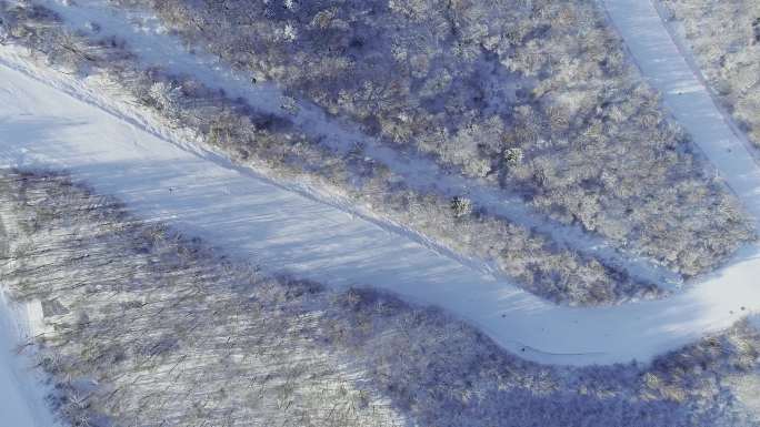 航拍北大湖滑雪场森林滑雪道滑雪的人