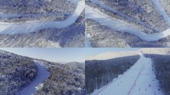 航拍北大湖滑雪场森林滑雪道滑雪的人