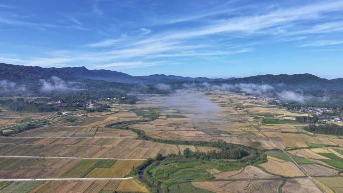 秋收过后的稻田延时风景