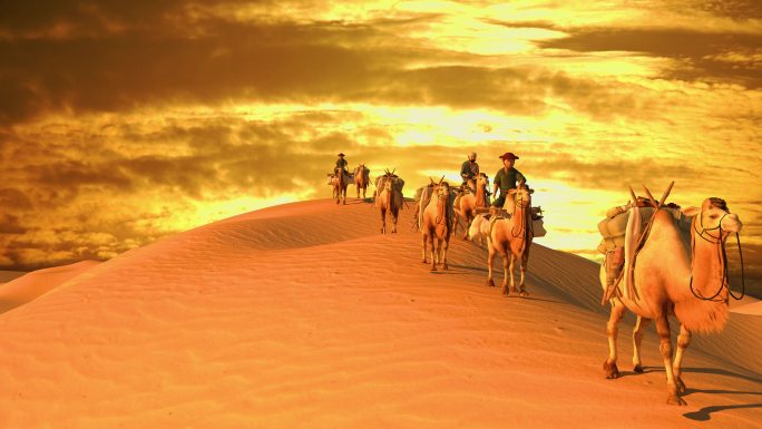 沙漠 骆驼合集
