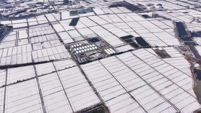 航拍乡镇雪景学校建筑田地大桥别墅河流房屋