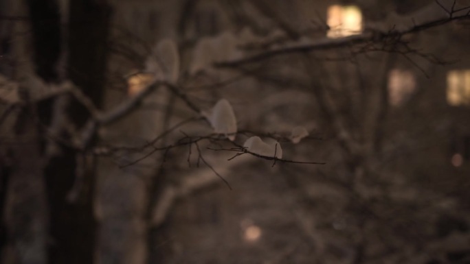 雪，夜，窗景