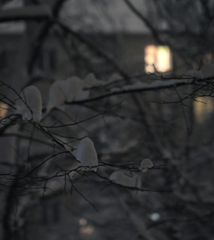 雪，夜，窗景