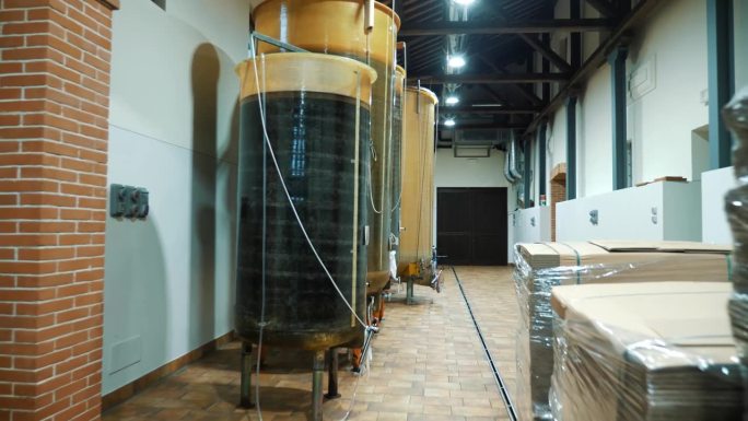葡萄酒仓库。酒厂。酒庄内的大酒桶。用于葡萄酒发酵的大罐或桶。葡萄酒生产设备。酒精发酵筒仓。