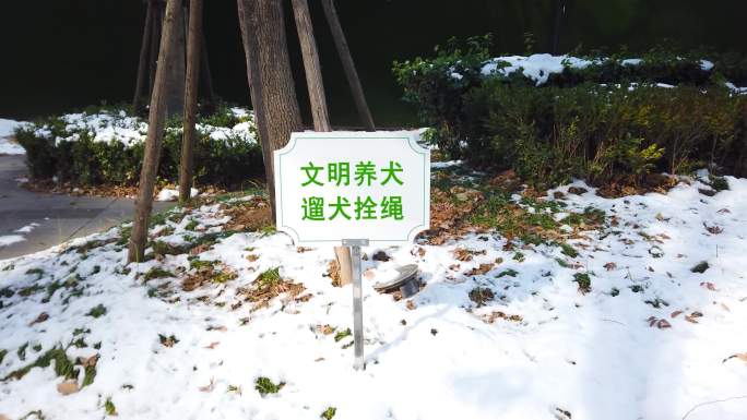 雪地 草坪文字 草坪 标牌