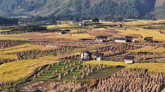 中国传统田园风光美景