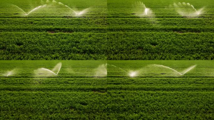 农田阳光灌溉系统。鸟瞰图与相机移动