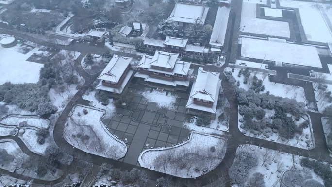 航拍西安青龙寺雪景合集（多视角长视频）