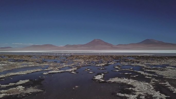 从空中俯瞰南美洲玻利维亚的拉古纳德卡纳帕的广阔景观。火烈鸟在飞翔，山脉在遥远的地平线。