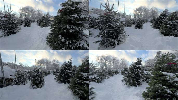 在白雪皑皑的冬日里，没有人的圣诞树市场。德国圣诞夜卖冷杉树。户外冷杉市场。下雪的冬日。出售云杉树。