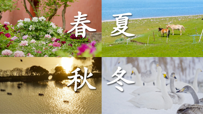 四季变化 春夏秋冬 全国风光