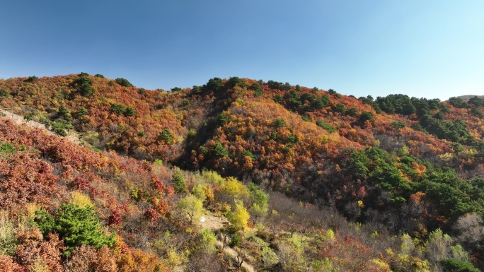 辽宁千山秋景航拍