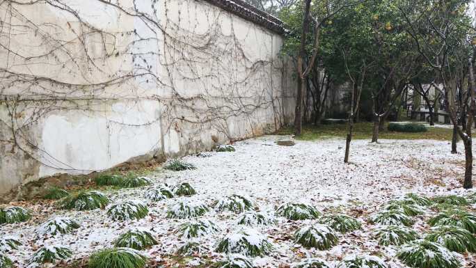 【合集】中式园林古风意境下雪