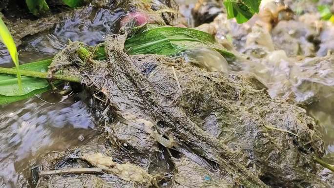 污水排水口生活污水直排管家庭生活甪水排放