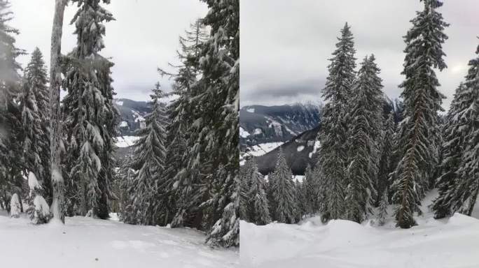 滑雪者在山上的POV镜头。男在树林里滑雪。他在探索大自然。